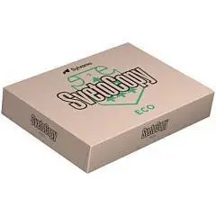 Бумага SvetoCopy Эко А4, 80г/м, 500л, фото №1