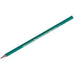 Карандаш чернографитный Bic Evolution ТМ, без ластика, фото №1